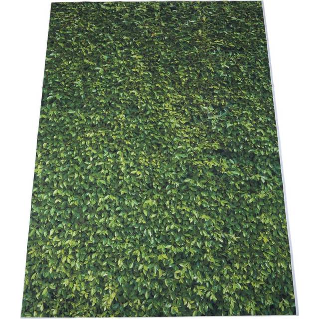 5x7ft(150x210cm) Nature Green Grass Backdrops Photography Wedding or Children Birthday Background