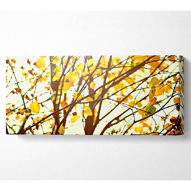 Light In The Forest - Wrapped Canvas Art Prints - Multicolour (50.8cm H x 121.9cm W x 10cm D)