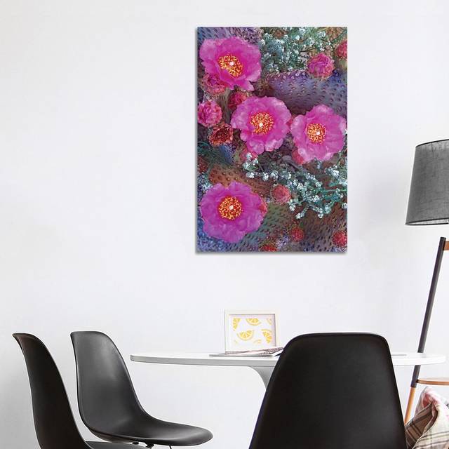 Beavertail Cactus Flowering, North America by Tim Fitzharris - Wrapped Canvas Art Prints (101.6 cm H x 66.04 cm W)