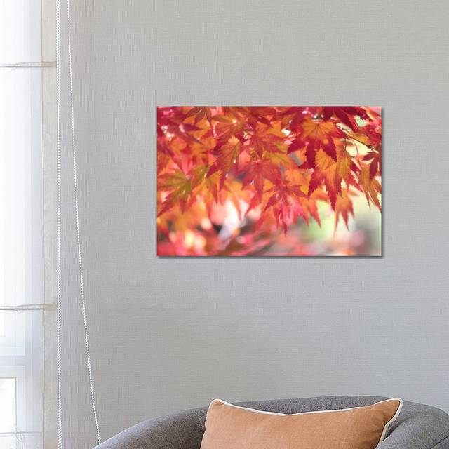 Curtain of Autumn Leaves by Philippe Sainte-Laudy - Wrapped Canvas Photograph (66.04 cm H x 45.72 cm W x 1.91 cm D)