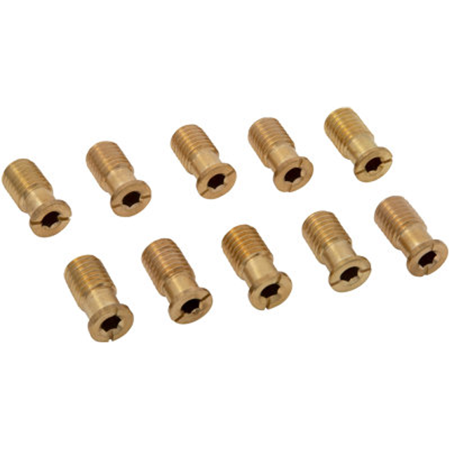 Wood Grip  10 Pack MB1 Pool Cover Brass Anchor Head Screw Bolt for Con