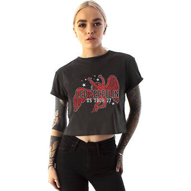 (Large) Amplified Clothing Cropped Short Sleeved T-Shirt (Womens Grey)