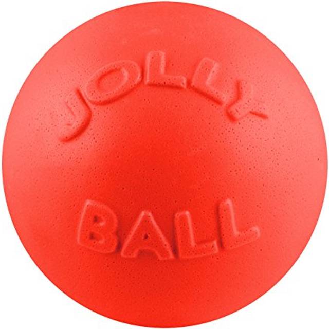 Jolly Pets Bounce-n-Play Hundboll, 20 cm (8 tum)/stor, orange (modell: 2508 OR)