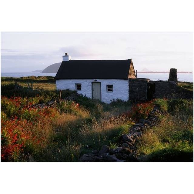 Cottage Near Dunquin Dingle Peninsula Co Kerry Ireland Poster Print by The Irish Image Collection, 36 x 24 - Large