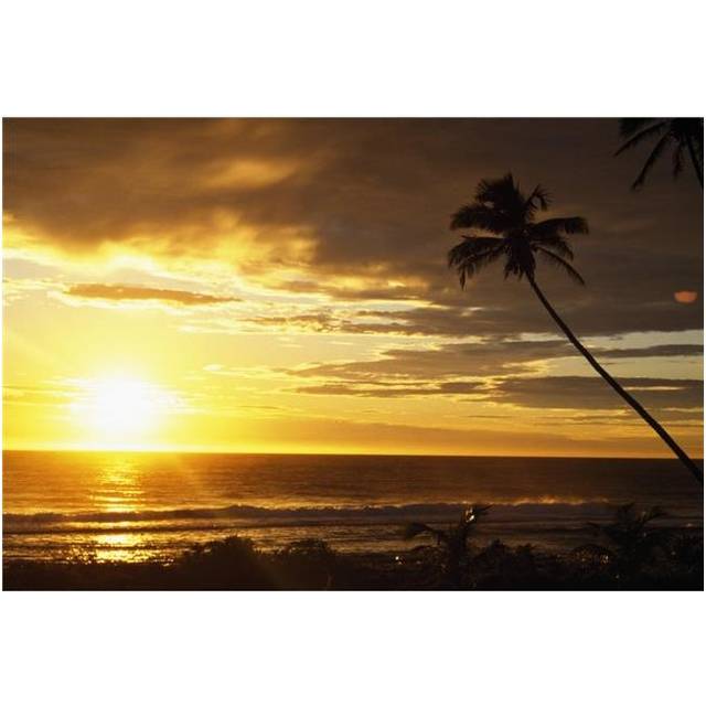 Sunrise with Palm Trees Poster Print by Natural Selection Craig Tuttle, 36 x 24 - Large