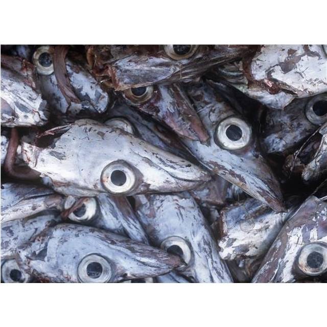 Detail of Fish Heads Poster Print, 36 x 26 - Large