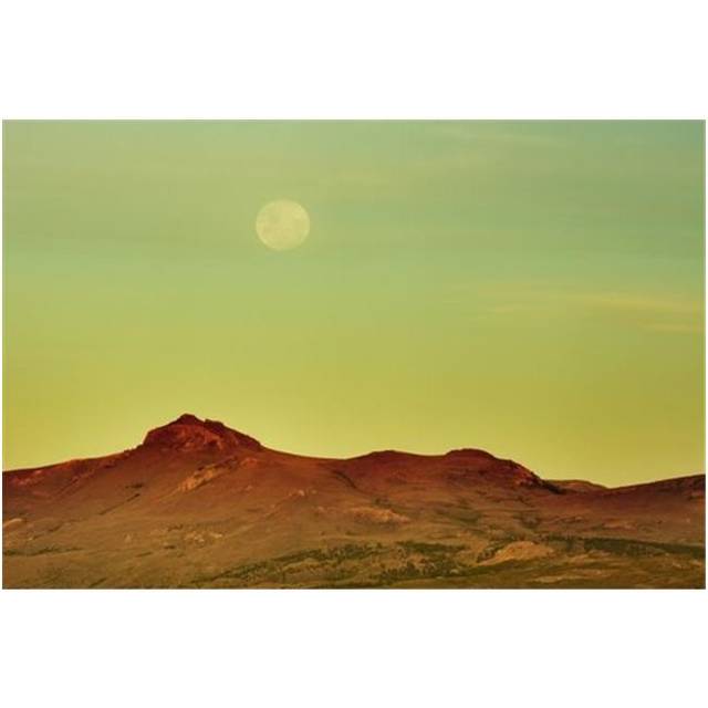 The Moon is Rising Over A Yellow Desert Landscape - Bariloche Argentina Poster Print by Philippe Widling, 38 x 24 - Large