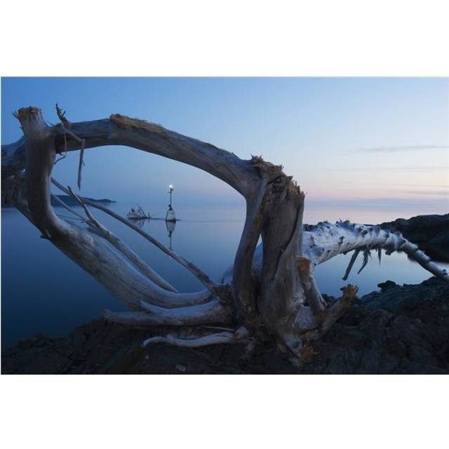 View Through Driftwood at Sunrise Over A Calm Lake - Ontario Canada Poster Print - 38 x 24 in. - Large