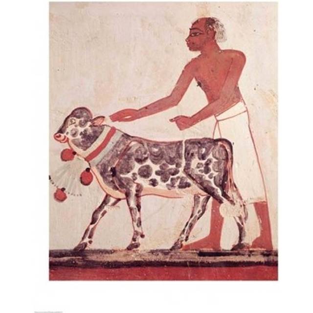 Peasant Leading A Cow To Sacrifice Poster Print - 24 x 36 in. - Large