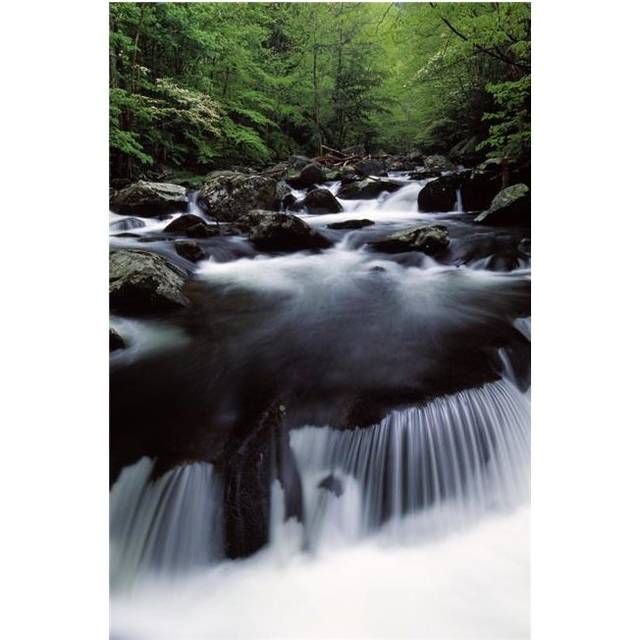 Scenic Creek Tennessee USA Poster Print by Natural Selection Robert Cable, 24 x 36 - Large