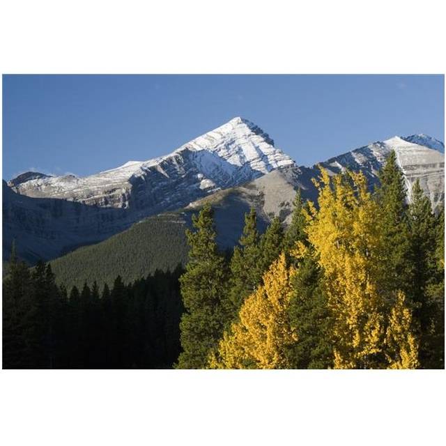 Autumn Colors In The Rocky Mountains - Alberta, Canada Poster Print, 38 x 24 - Large