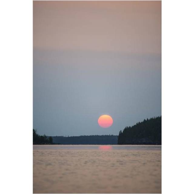A Red Sun Setting Over The Forest with A Lake Reflecting The Pink Glow - Manitoba Canada Poster Print by Thomas Fricke, 24 x 38 - Large