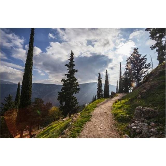 Walking Path On Mount Parnassus - Delphi Greece Poster Print by Reynold Mainse, 38 x 24 - Large