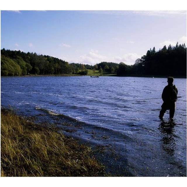 Killykeen Forest Park Co Cavan Ireland - Man Fishing in Lough Oughter Poster Print by The Irish Image Collection, 32 x 28 - Large