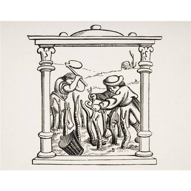 Culture of The Vine 19th Century Reproduction of Miniature in 16th Century Prayer Book Calendar Poster Print, Large - 34 x 26