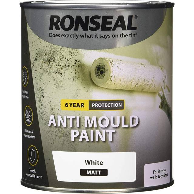 Ronseal Anti Mould Paint White Matt 750ml