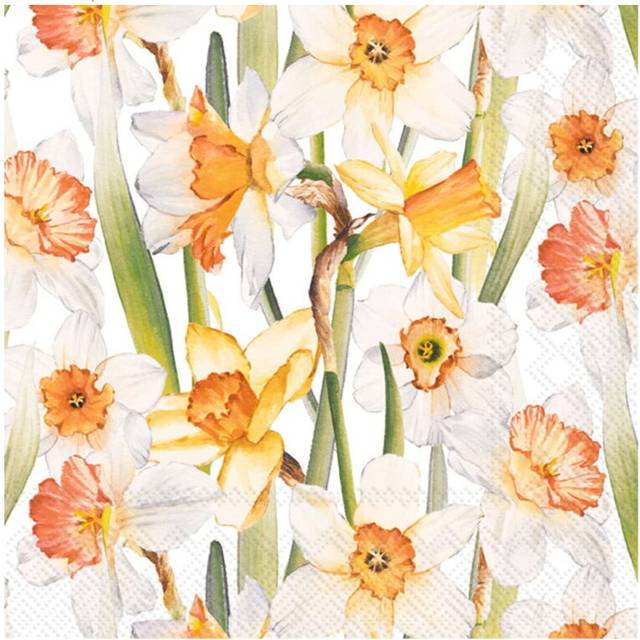 Daffodil joy narcissi flower spring ihr paper lunch napkins 20 in pack 33 cm sq