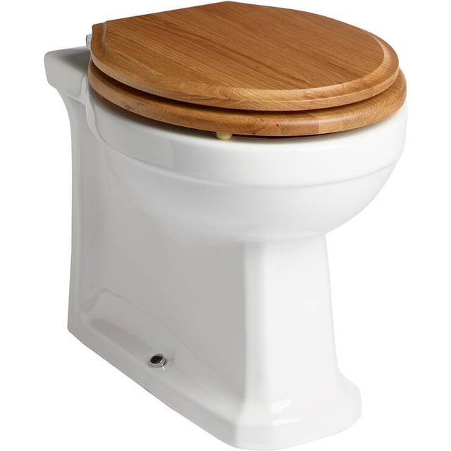 Vitoria Back to Wall Toilet - White (410mm H X 385mm W X 520mm D)