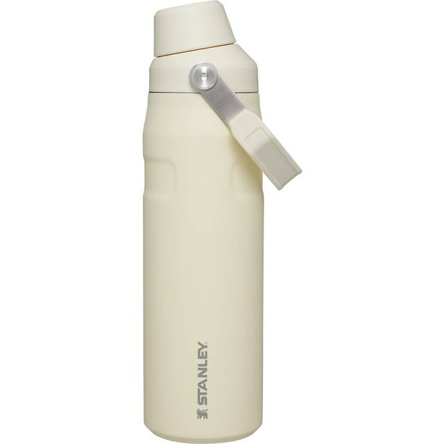 Stanley IceFlow Fast Flow Water Bottle 24 OZ  Angled Spout Lid  Lightweight  Leakproof for Travel  Gym  Insulated Stainless
