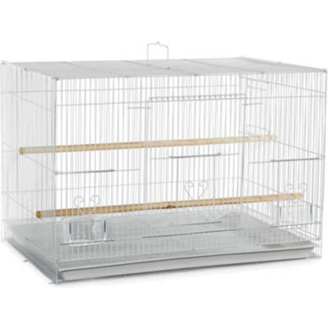 A&E Cage 503 White SP 24 x 16 in. Flight Cage in Color Retail Box, White