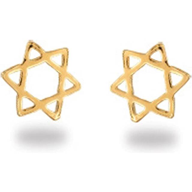 Les Trésors De Lily [R3502] - Gold plated earrings 'Star of David' golden - 7 mm gold