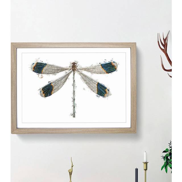 Blue Tipped Dragonfly by George Shaw - Picture Frame Painting Print on MDF - Oak Framed (36cm H x 48cm W x 2cm D)