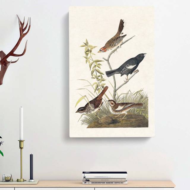 Finches & Sparrows by John James Audubon - Wrapped Canvas Painting Print (76cm H x 50cm W x 3cm D)
