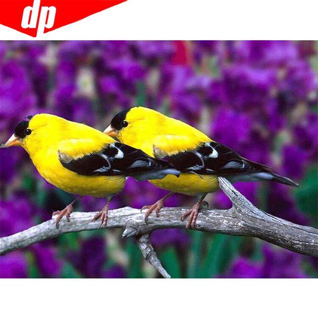 DIY Diamond Mosaic Animal Bird Full Round Drill Diamond Painting Embroidery Sale Rhinestone Picture 20X30