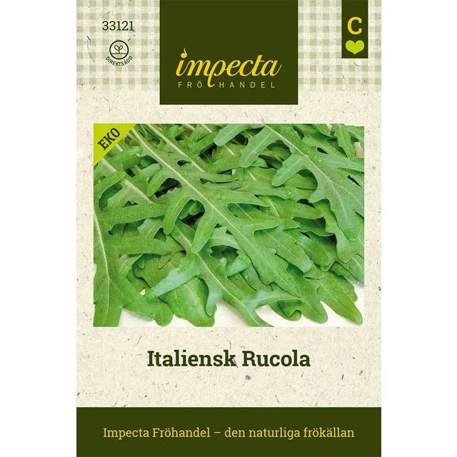 Rucola, Italiensk, Ekologisk