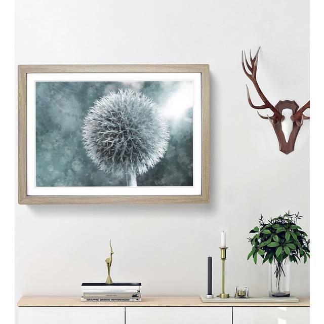 Globe Thistle - Picture Frame Graphic Art Print - Oak Framed (62cm H x 87cm W x 2cm D)