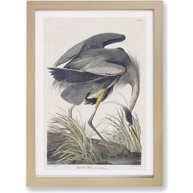 'Great Blue Heron' by John James Audubon - Picture Frame Painting Print on Paper - Oak (24cm H x 33cm W x 2cm D)