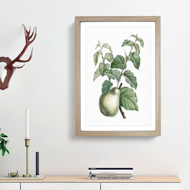 Pear Fruit by Pierre-Joseph Redoute - Picture Frame Painting Print - Oak Framed (48cm H x 36cm W x 2cm D)