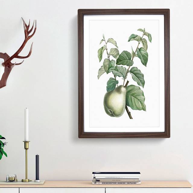 Pear Fruit by Pierre-Joseph Redoute - Picture Frame Painting Print - Walnut Framed (48cm H x 36cm W x 2cm D)