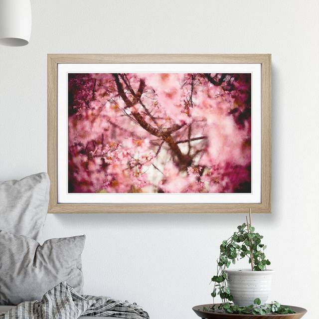 Pink Cherry Blossom Flowers Vol.4 - Picture Frame Graphic Art - Oak Framed (48cm H x 65cm W x 2cm D)
