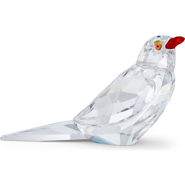 Elegance of Africa SCS Event Piece Oxpecker Kali - White - OS