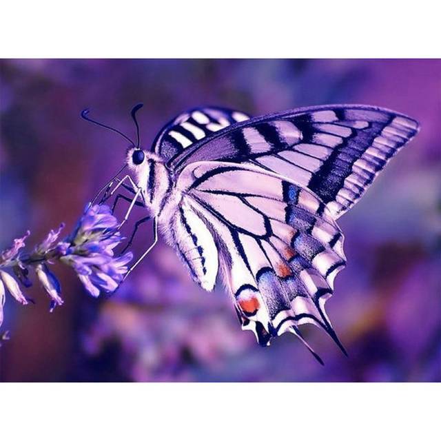 Diamond Painting Purple Butterfly Diamond Painting Diamond Mosaic Full Round 20X30CM