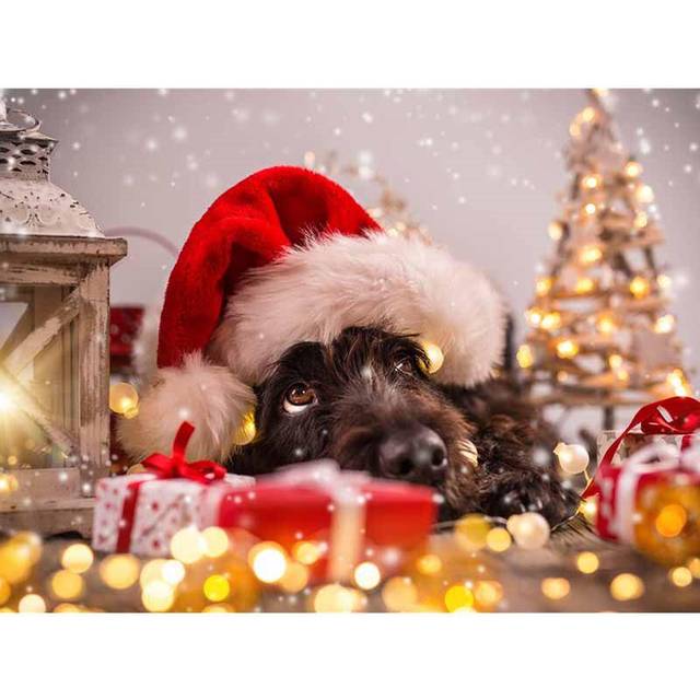 Full Round Drill Diamond Embroidery Christmas Dog 5D DIY Diamond Painting Cross Stitch Rhinestone 20X30CM