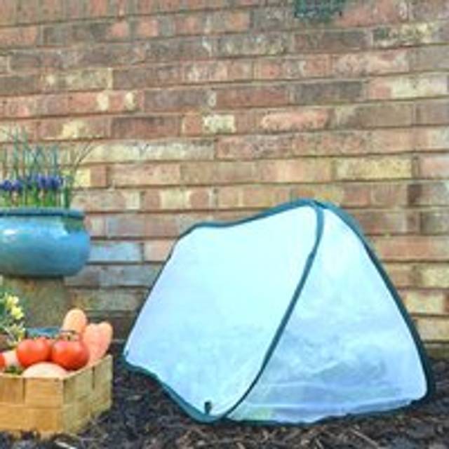 Gardenskill - Pop-Up Insect Net Cloche & Total Pest Protection Cover – 1.5m long x 0.6m wide x 0.6m high