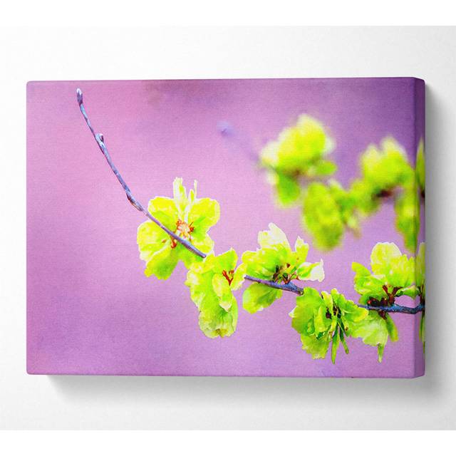 Small Green Flowers - Wrapped Canvas Art Prints - Multicolour (66cm H x 106.6cm W x 10cm D)