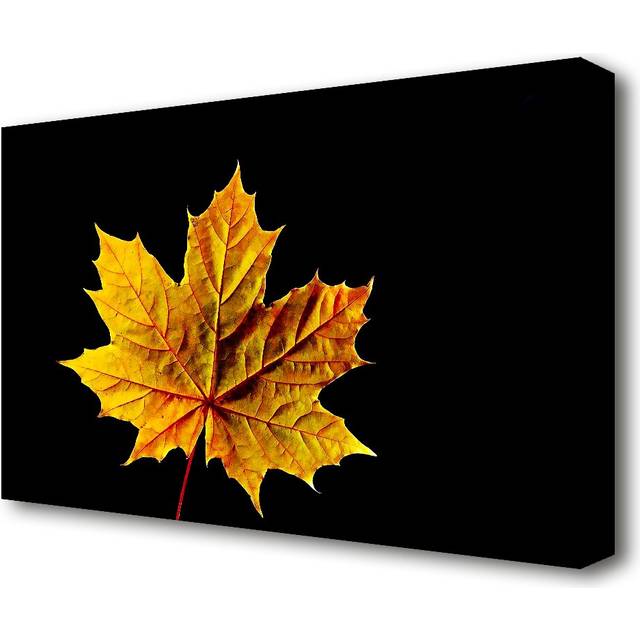 A Single Autumn Leaf Flowers Canvas Print Wall Art (101.6 cm H x 142.2 cm W)