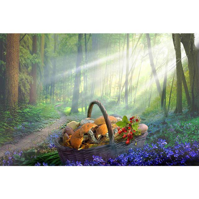DIY 5D Diamond Painting Forest Mushroom Diamond Embroidered Mosaic Cross-stitch 20X30CM