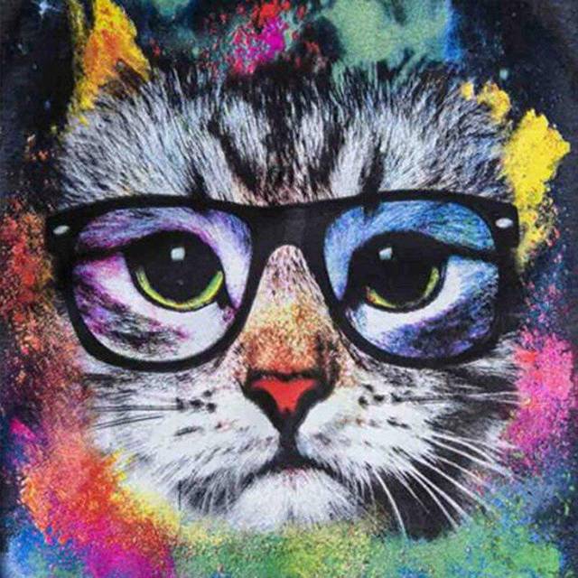 Full Round Drill 5D DIY Diamond Painting Colored cat Embroidery Cross Stitch 30x30CM