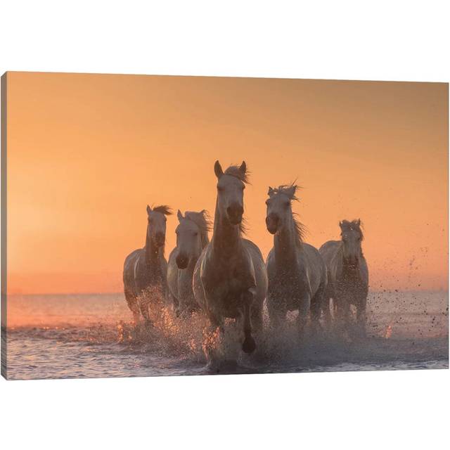 White Angels Of Camargue I by Daniel Kordan - Wrapped Canvas Gallery-Wrapped Canvas Giclée (30.48 cm H x 45.72 cm W)