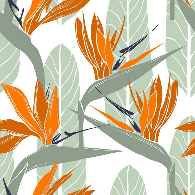Strelitzia Vector Pattern by Rraya - Print (91cm H x 91cm W x 3.8cm D)