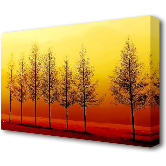 'Isolation Landscape' Photographic Print on Canvas (81.3 cm H x 121.9 cm W)