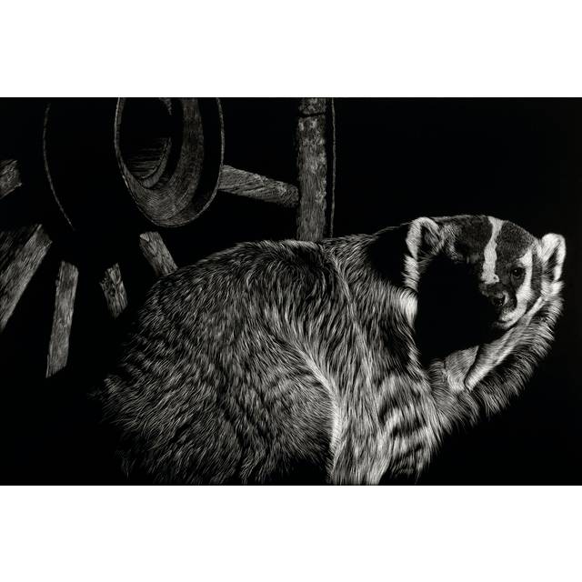 Scratchboard Tenacious - Wrapped Canvas Drawing (30cm H x 46cm W x 3.8cm D)