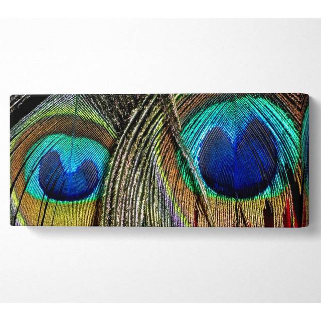 Peacock Feather Duo - Wrapped Canvas Art Prints - Multicolour (50.8cm H x 121.9cm W x 10cm D)