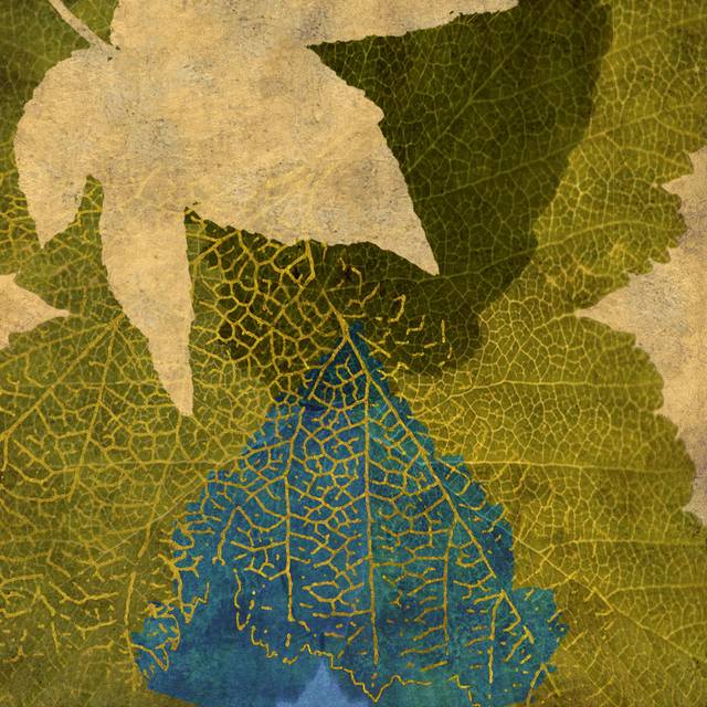 Teal Leaf I - Wrapped Canvas Art Prints (51cm H x 51cm W)