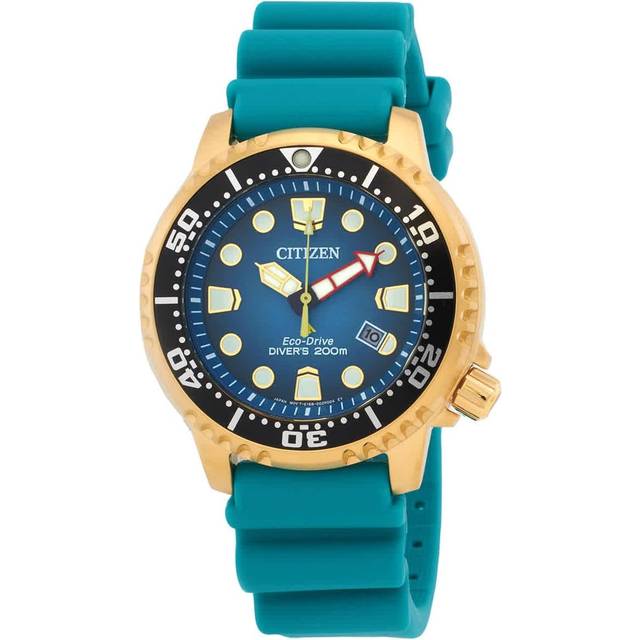 Citizen Men's Pro Master Diver Eco-Drive Date Band Strap Watch