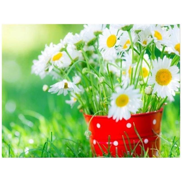 Diamond Mosaic Sunflower 5D Diamond Painting Set Diamond Embroidery Rhinestone Picture Decor 20X30CM